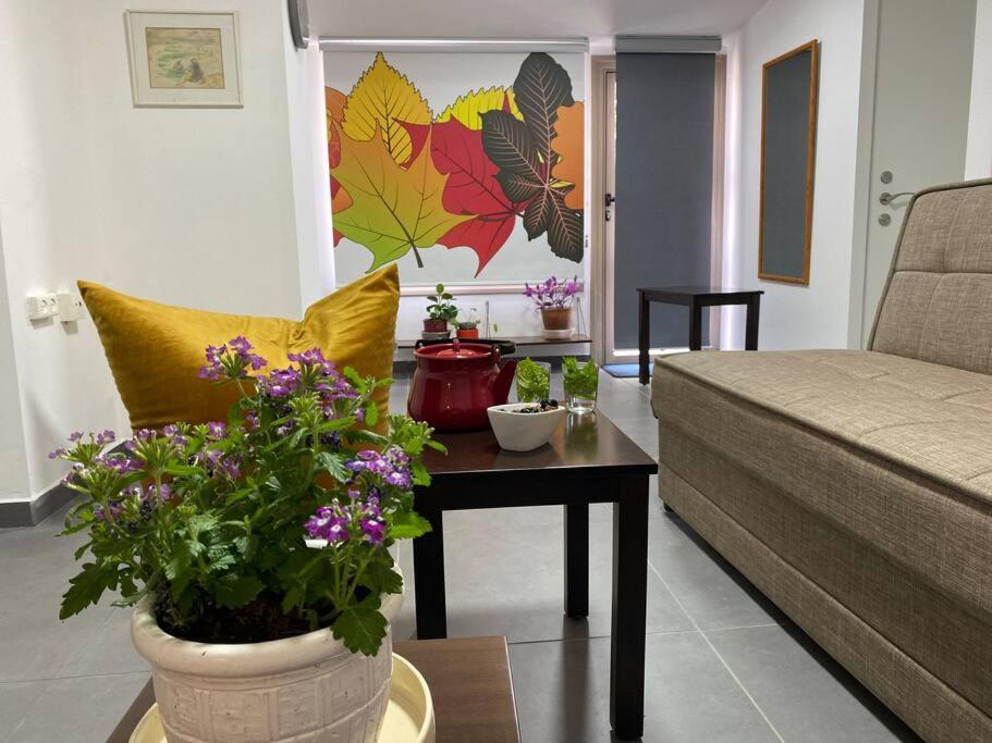 קומותיים ברמה Apartment Sha'al Ngoại thất bức ảnh