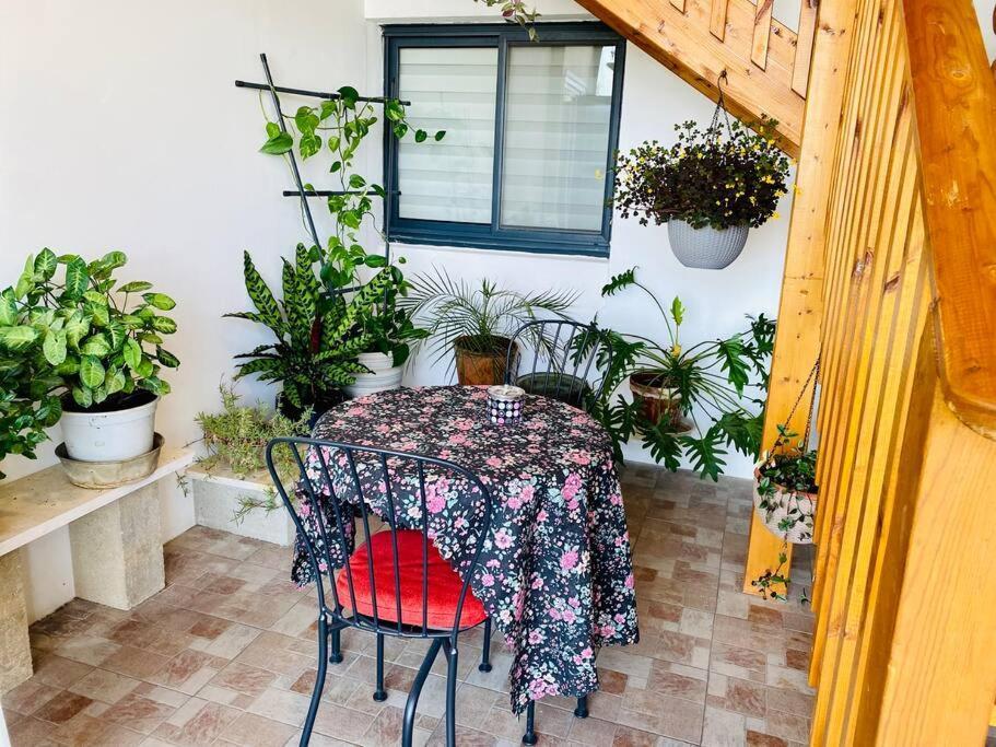 קומותיים ברמה Apartment Sha'al Ngoại thất bức ảnh